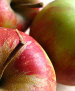 Tarçınlı Elma Topları tarif resmi